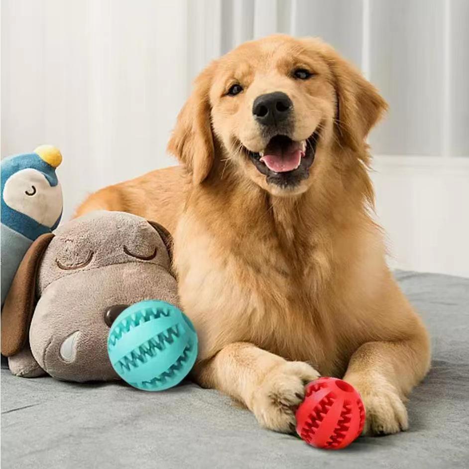 Bite-Resistant Pet Rope Toy