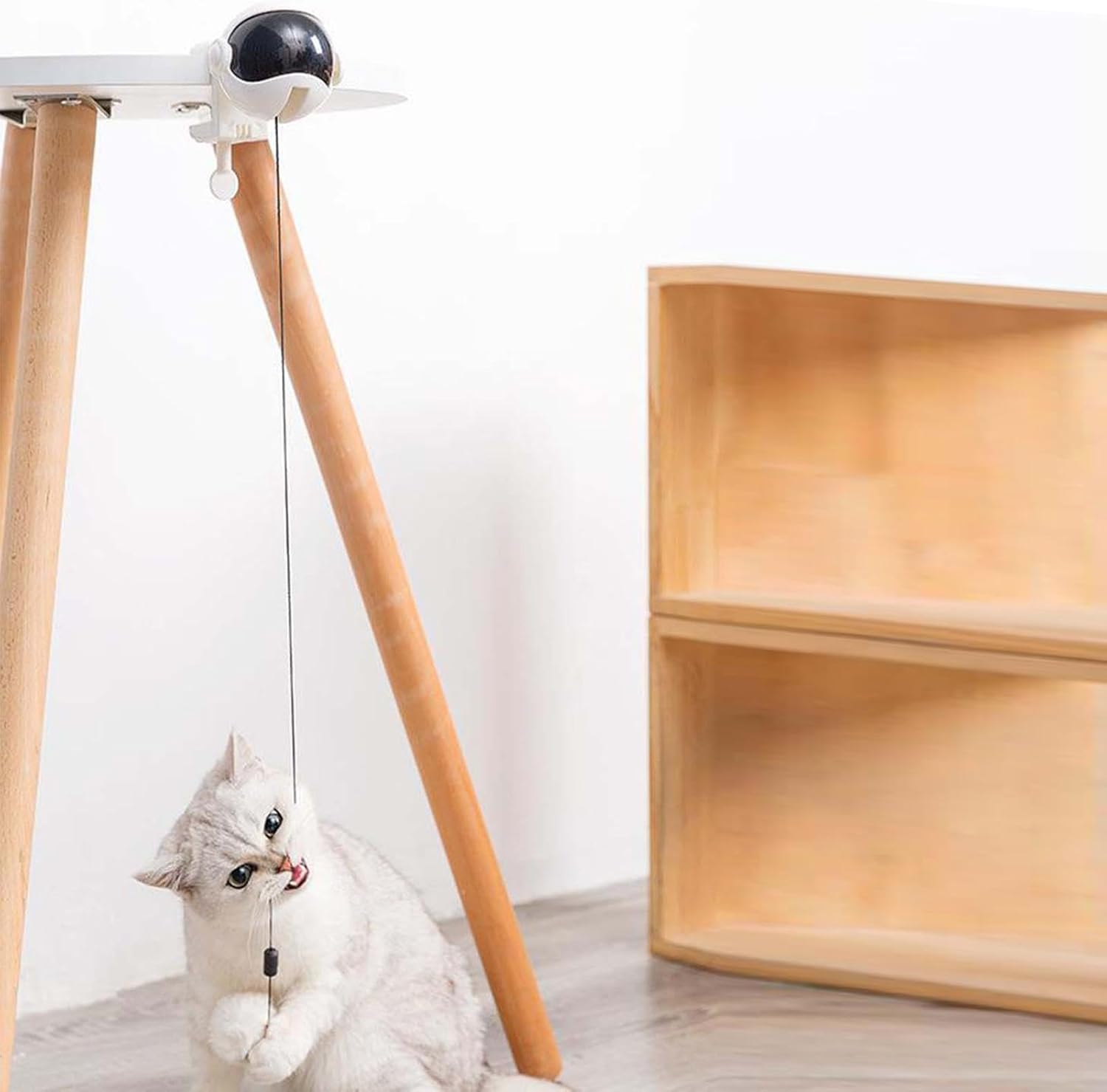 Automatic Ball Lifting Cat Toy