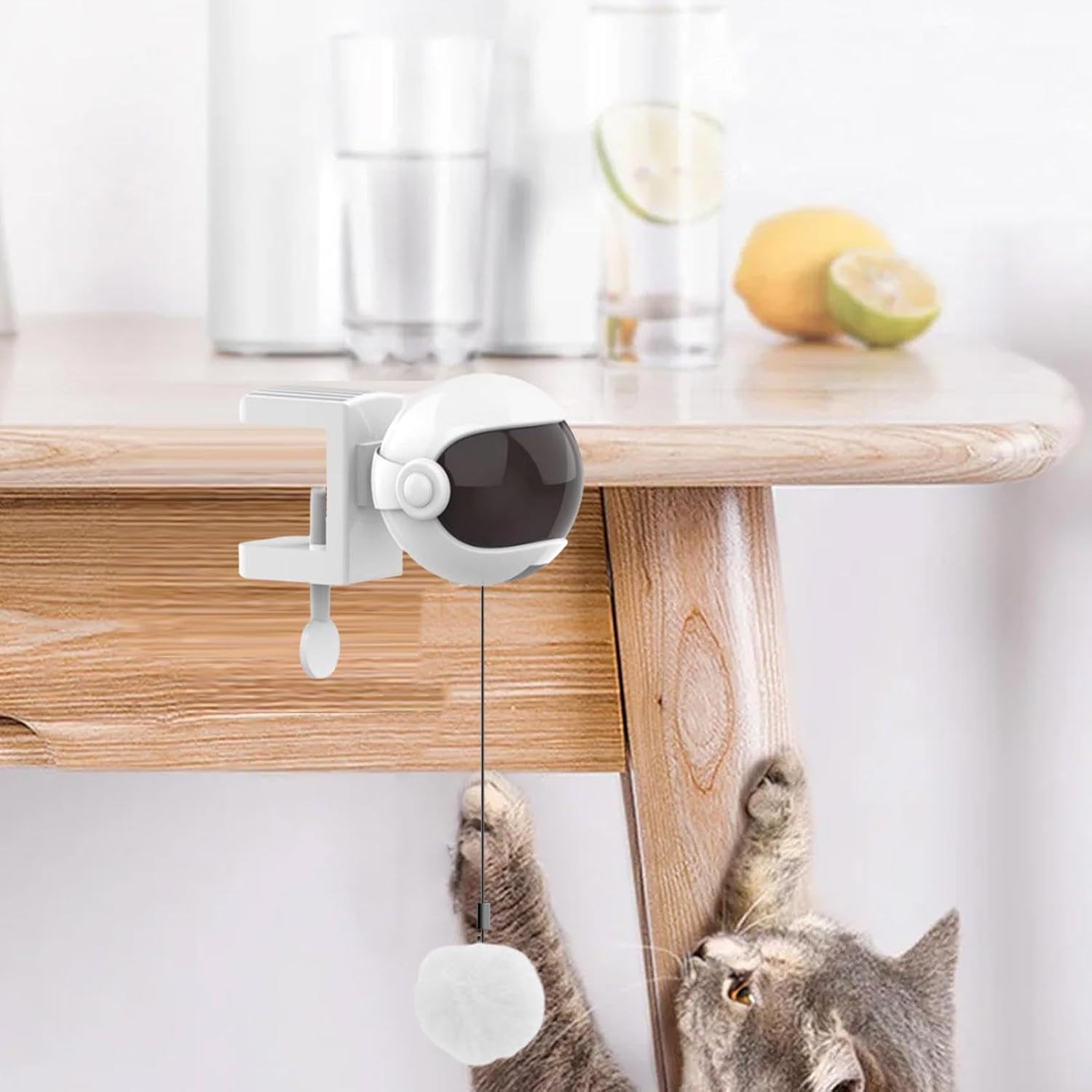 Automatic Ball Lifting Cat Toy