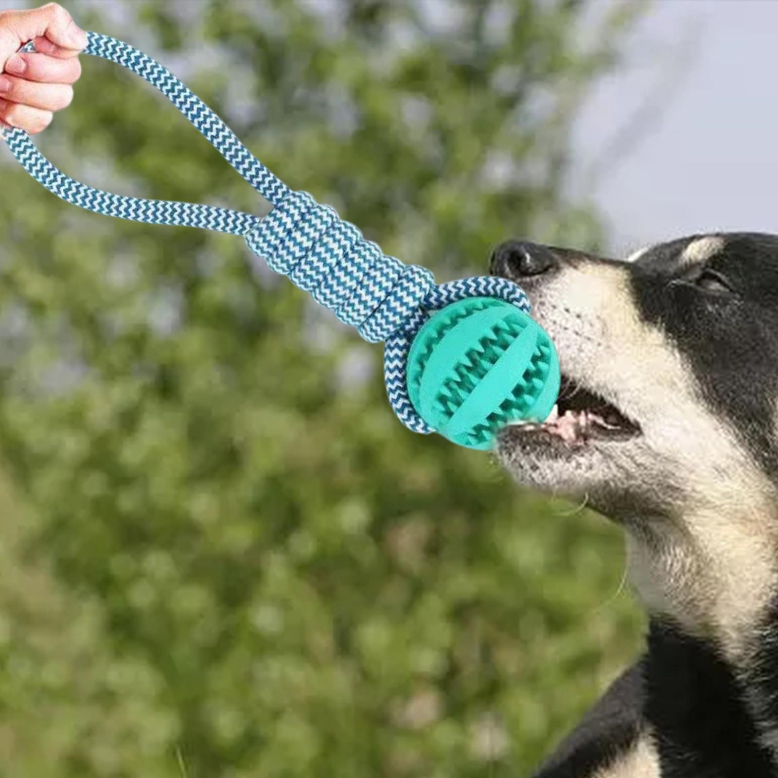 Bite-Resistant Pet Rope Toy