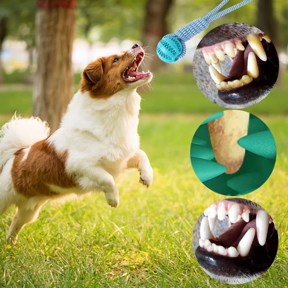Bite-Resistant Pet Rope Toy