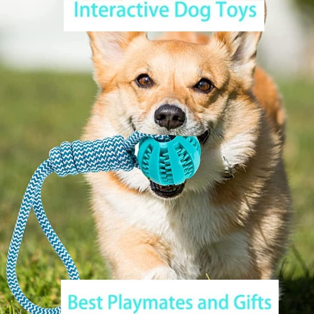 Bite-Resistant Pet Rope Toy