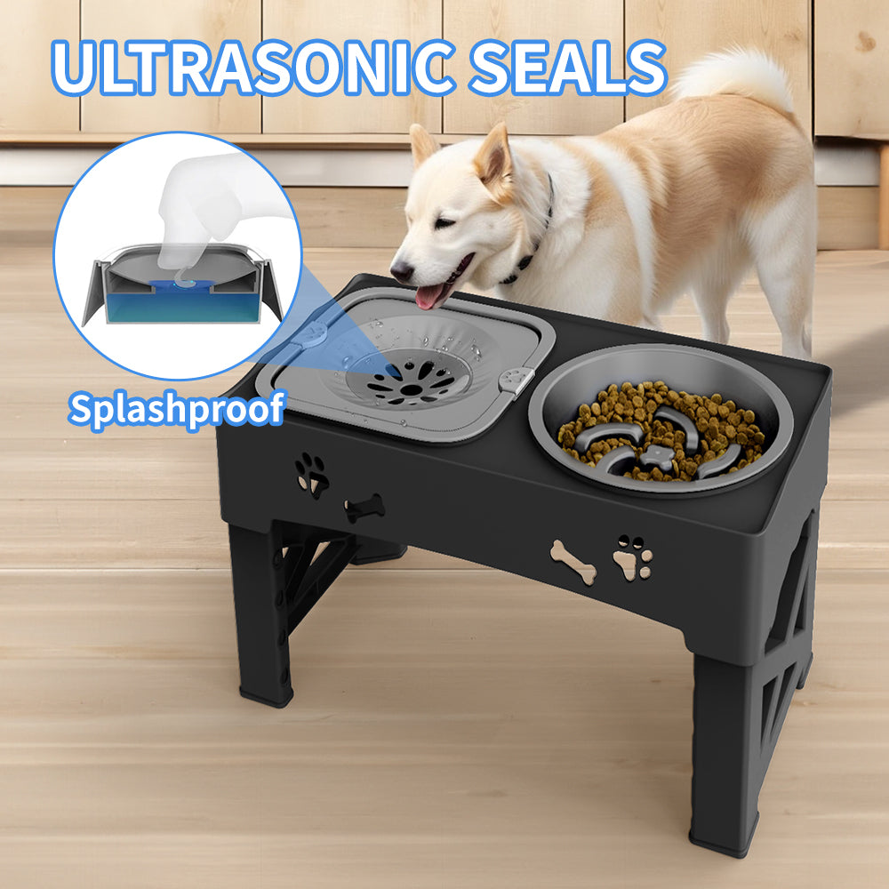 Elevated Double Feeder Bowl