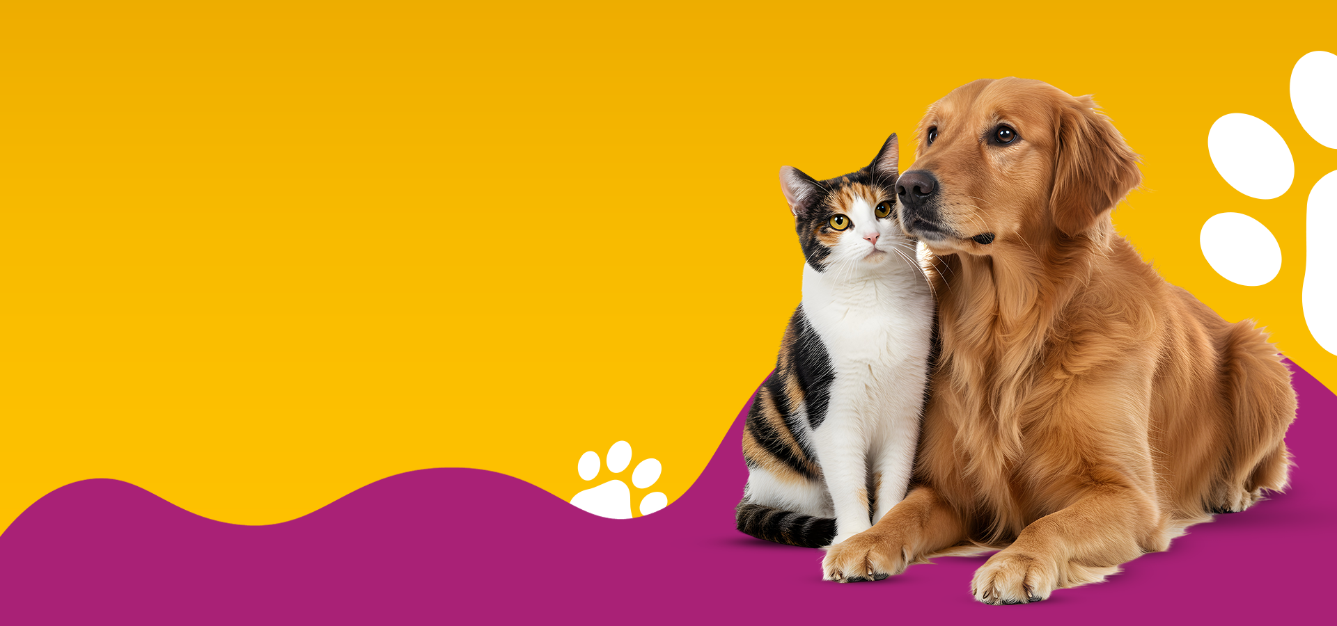 slider image 1621243260e1af0c20-2