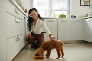 The Hidden Problems With Pet Mealtime (And How To Fix Them)