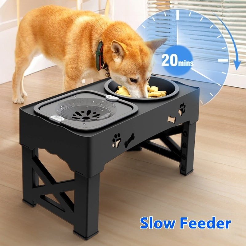 Elevated Double Feeder Bowl