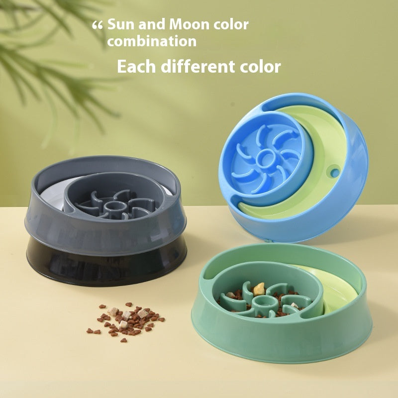 Water & Slow Feeder Pet Bowl