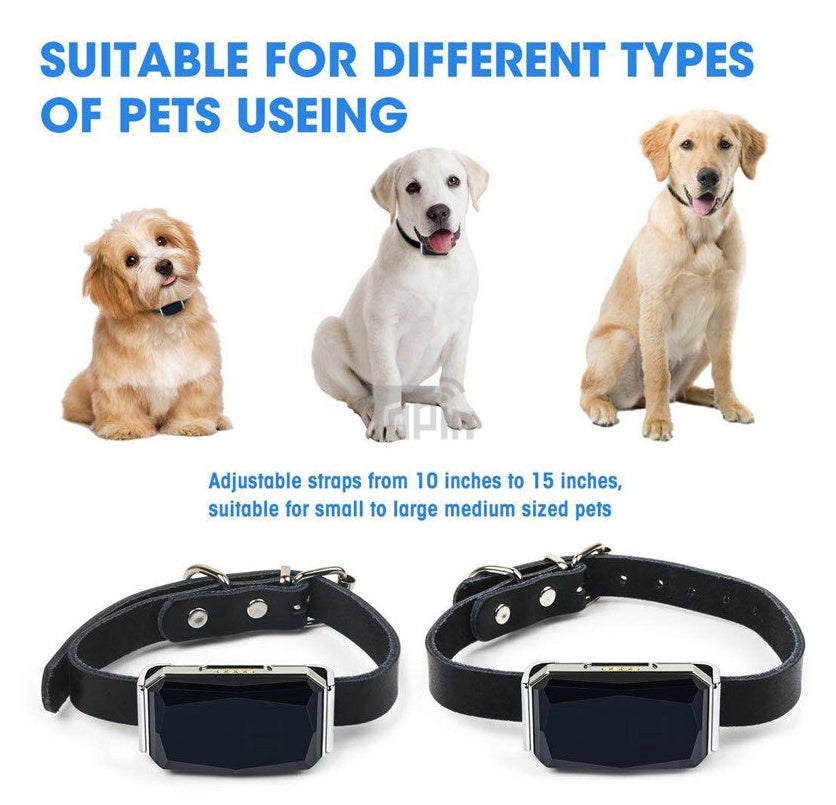 Multifunction Pet GPS Tracker