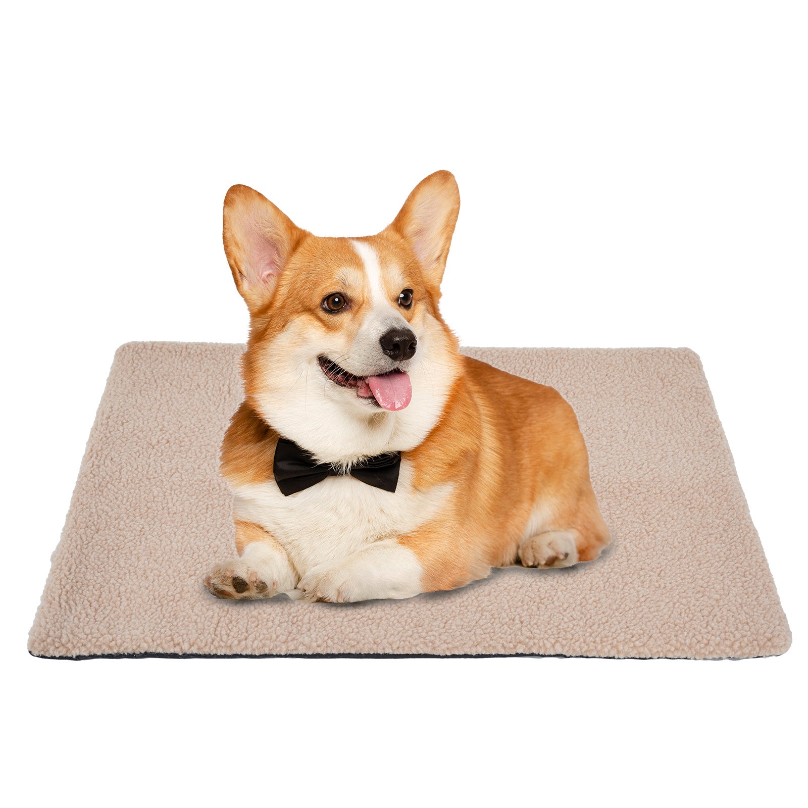 Self-Heating Winter Pet Mat