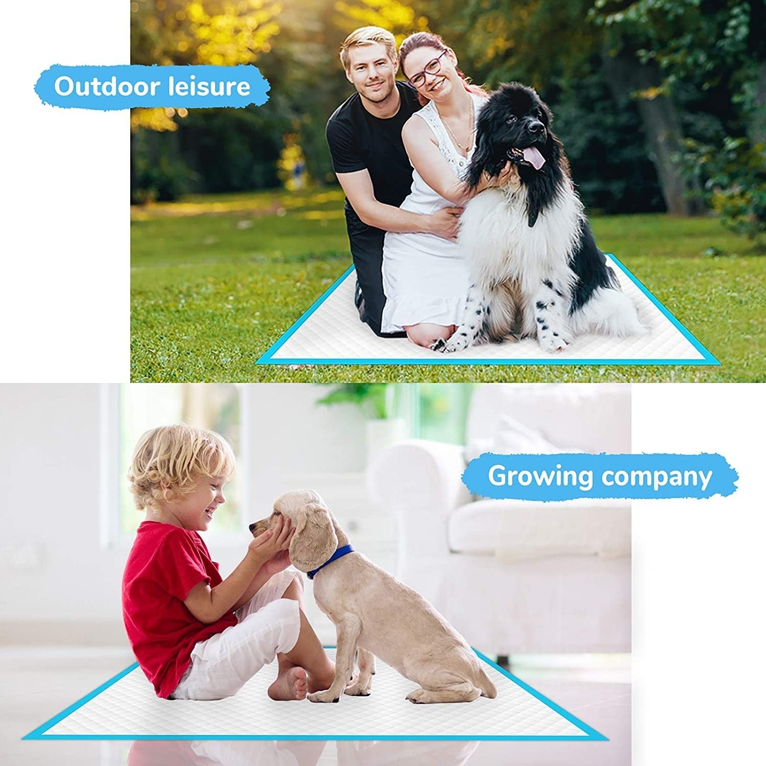 Disposable Pet Diaper Pad