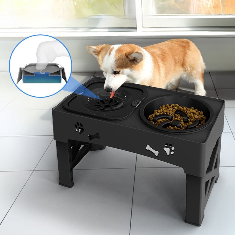 Elevated Double Feeder Bowl