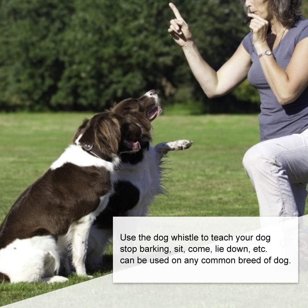Ultrasonic Dog Training Whistle