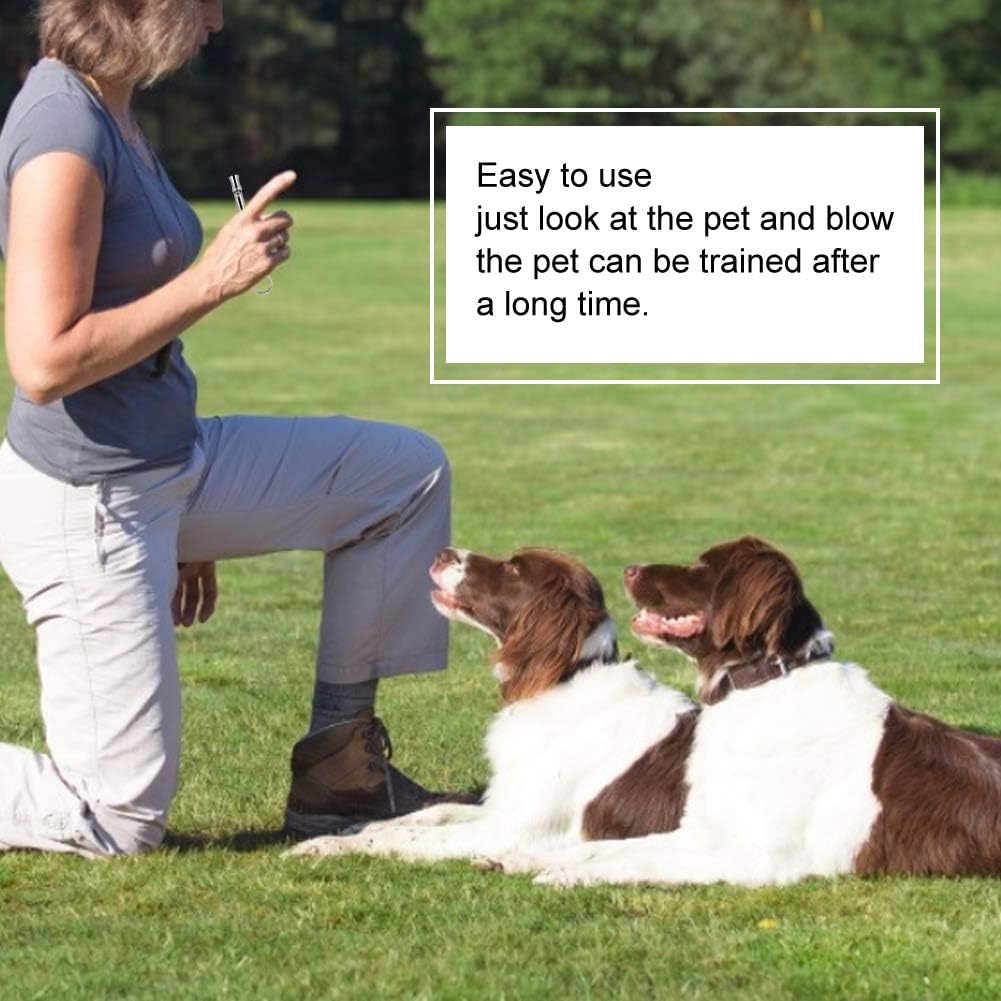 Ultrasonic Dog Training Whistle
