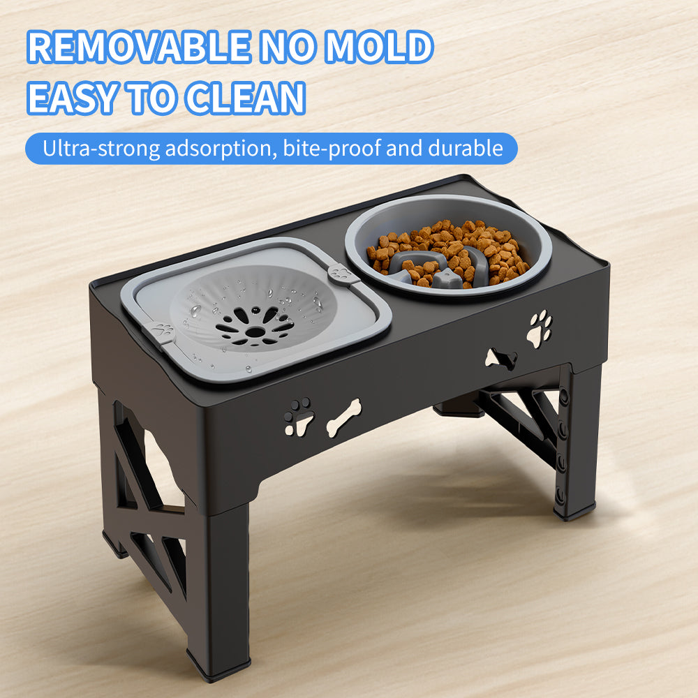 Elevated Double Feeder Bowl