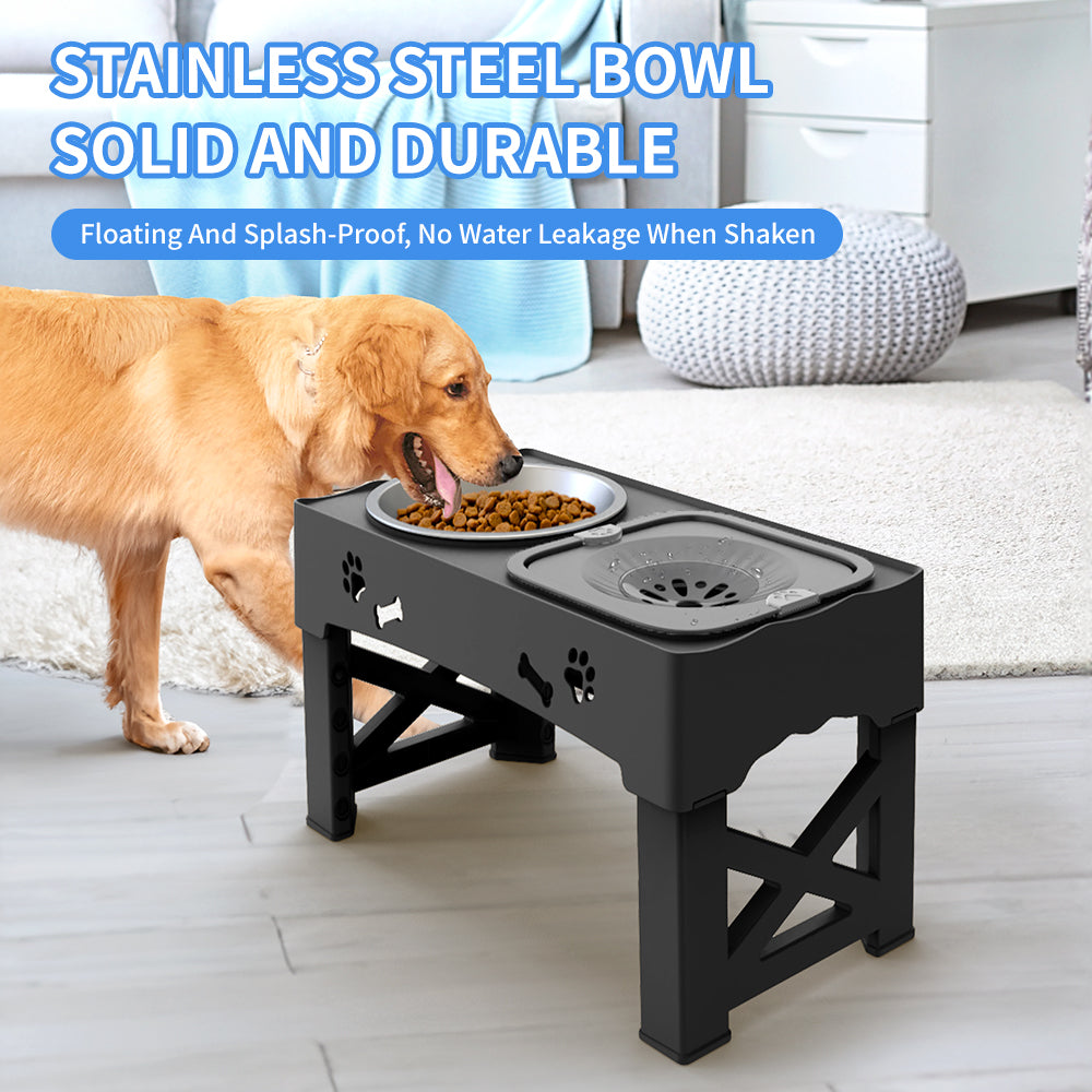 Elevated Double Feeder Bowl