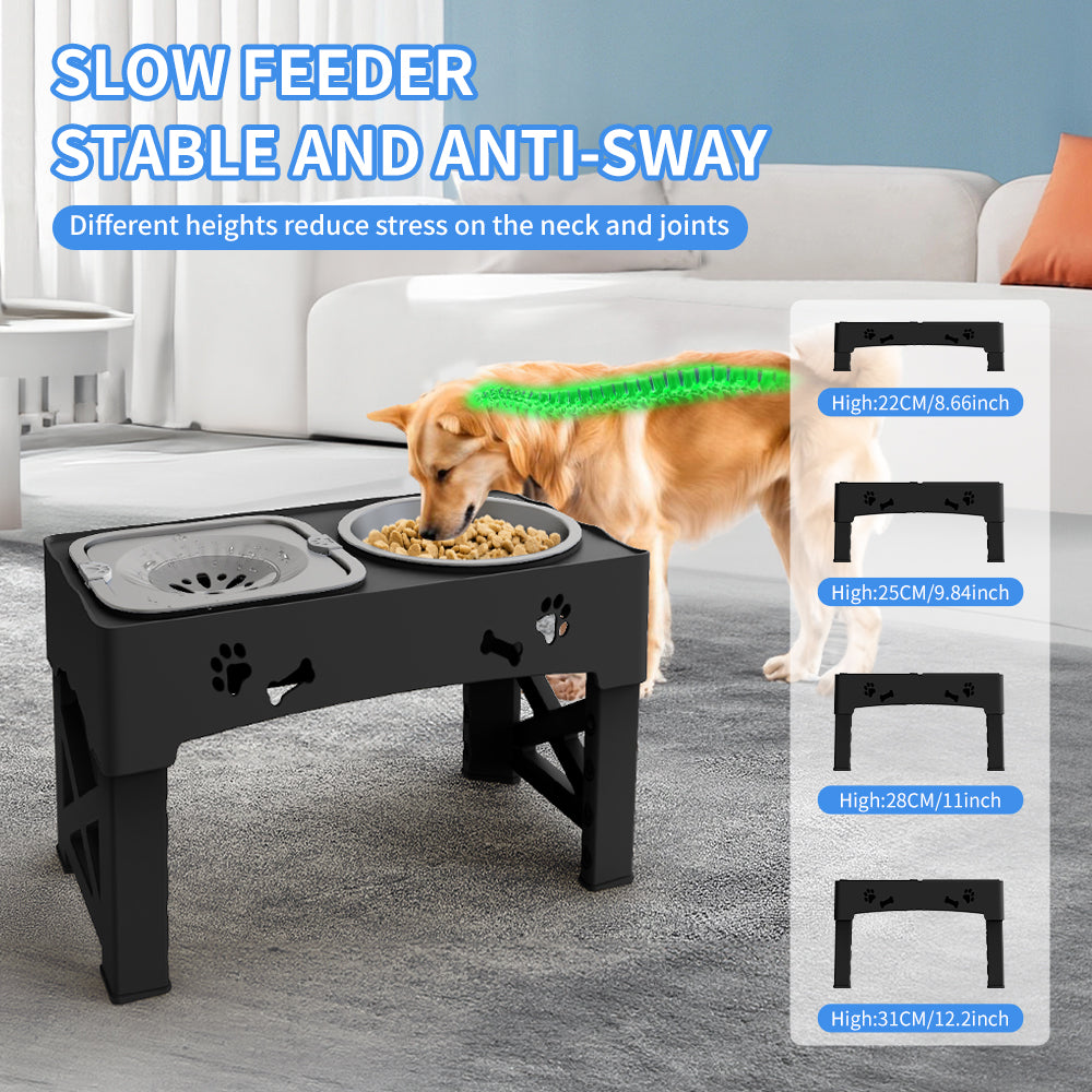 Elevated Double Feeder Bowl