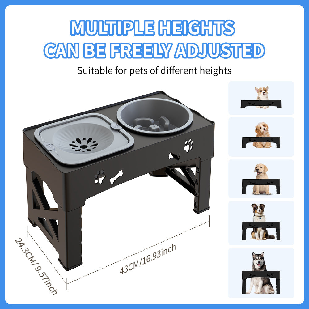 Elevated Double Feeder Bowl