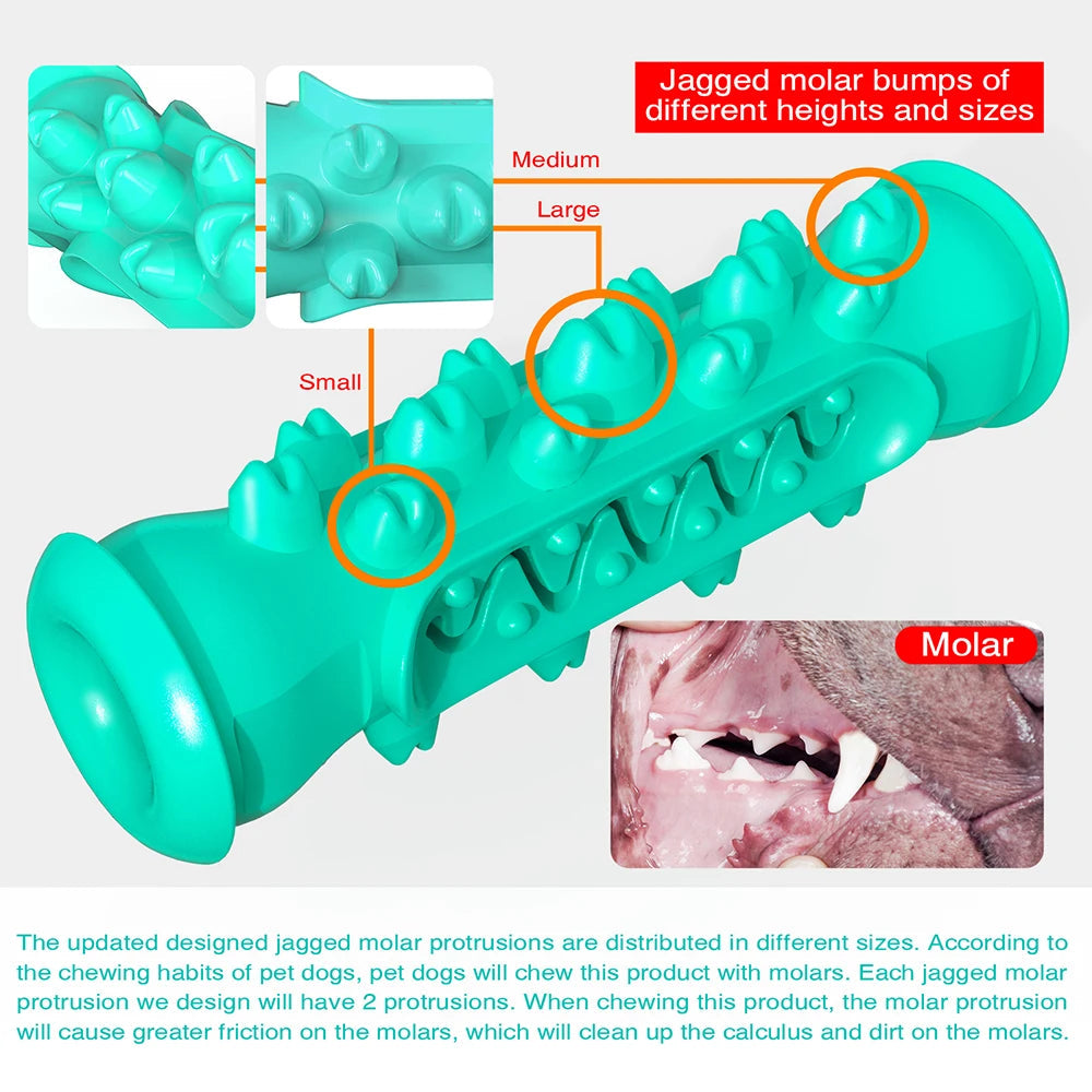 Molar Toothbrush Toy Stick