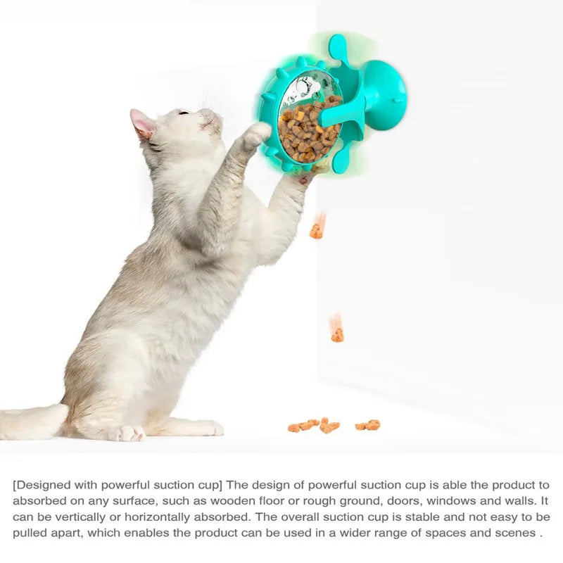 Pet Turntable Slow Feeder