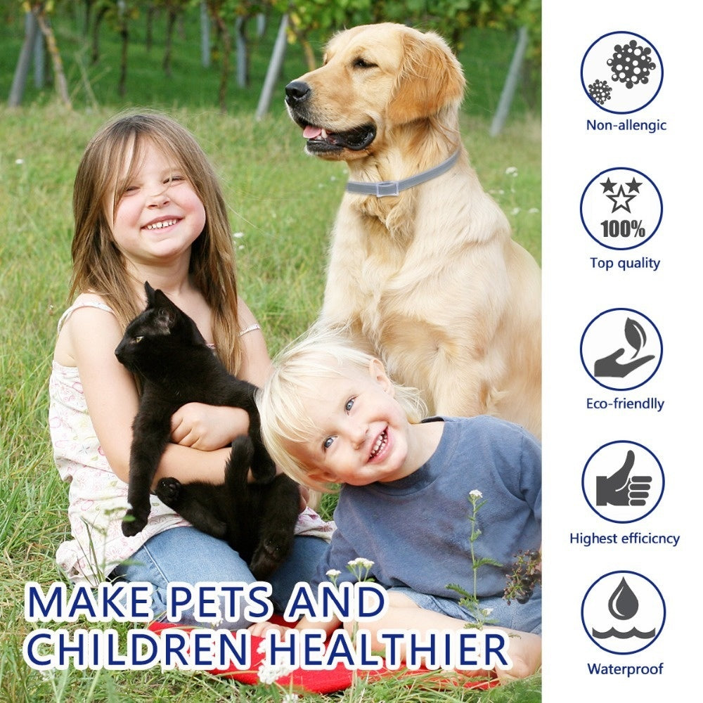 Flea Repellent Dog Collar