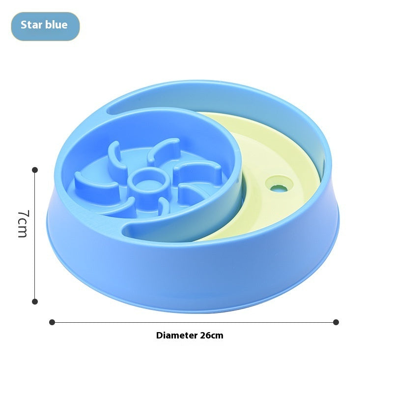 Water & Slow Feeder Pet Bowl