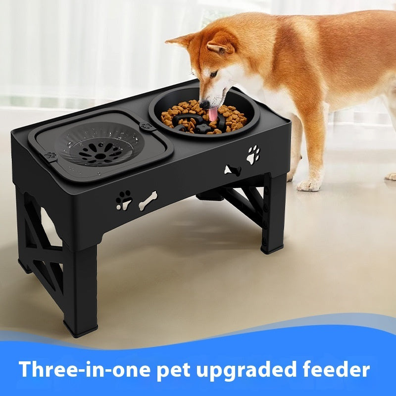 Elevated Double Feeder Bowl