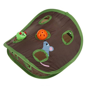 Mouse Hunt Pop-Up Toy