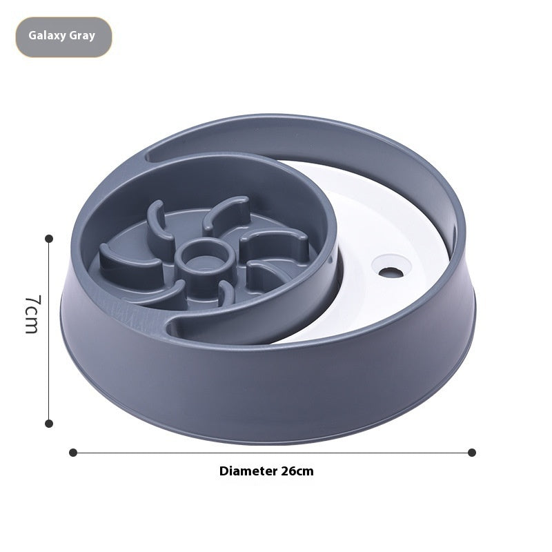 Water & Slow Feeder Pet Bowl